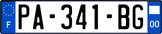 PA-341-BG