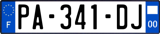 PA-341-DJ