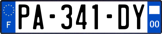 PA-341-DY