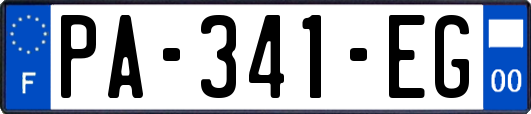 PA-341-EG