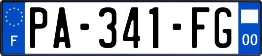 PA-341-FG