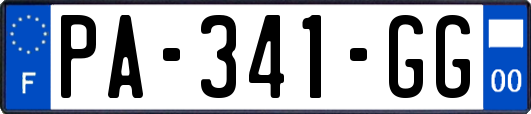 PA-341-GG
