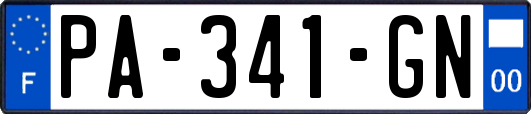 PA-341-GN