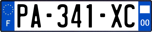 PA-341-XC