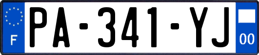 PA-341-YJ