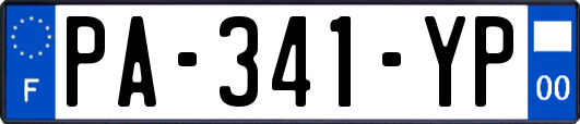 PA-341-YP