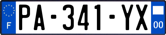 PA-341-YX