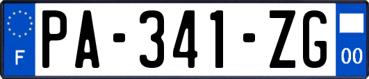 PA-341-ZG