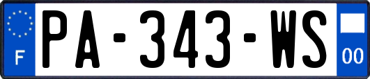 PA-343-WS
