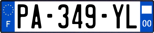 PA-349-YL