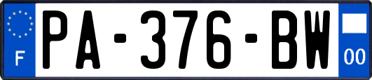 PA-376-BW