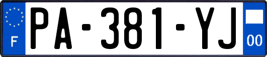 PA-381-YJ