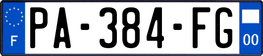 PA-384-FG