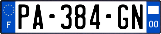 PA-384-GN