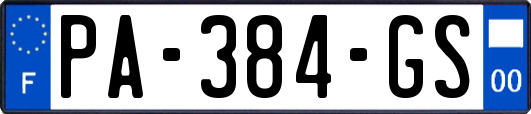 PA-384-GS