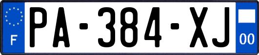 PA-384-XJ