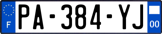 PA-384-YJ