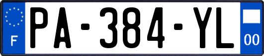 PA-384-YL