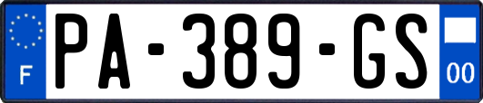 PA-389-GS