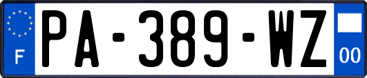 PA-389-WZ