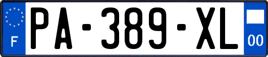PA-389-XL