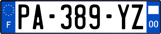 PA-389-YZ