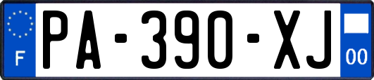 PA-390-XJ