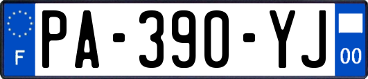 PA-390-YJ