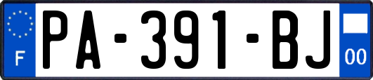 PA-391-BJ