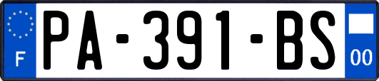 PA-391-BS