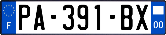 PA-391-BX