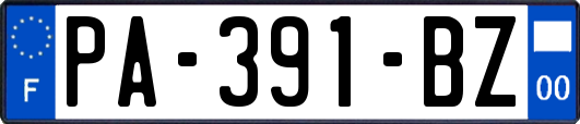 PA-391-BZ