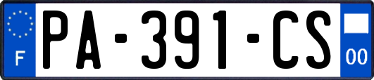 PA-391-CS