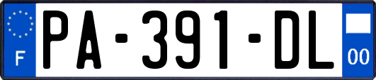 PA-391-DL