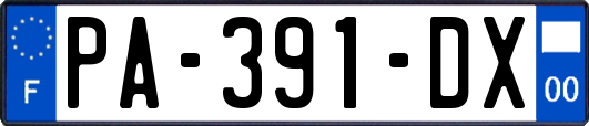 PA-391-DX