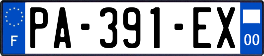 PA-391-EX