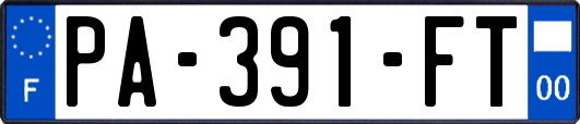 PA-391-FT