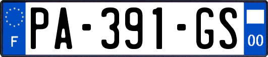 PA-391-GS