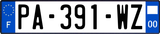 PA-391-WZ