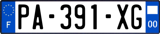 PA-391-XG