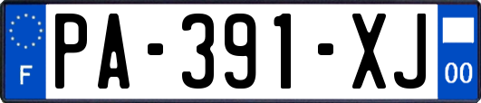 PA-391-XJ