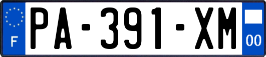 PA-391-XM