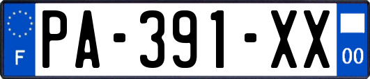 PA-391-XX