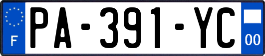 PA-391-YC