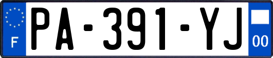 PA-391-YJ