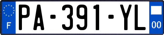 PA-391-YL