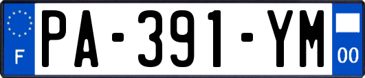 PA-391-YM