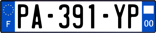 PA-391-YP
