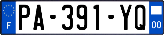 PA-391-YQ