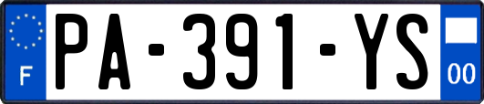 PA-391-YS